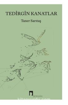 Tedirgin Kanatlar kitap kapağı