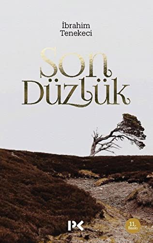 Son Düzlük kitap kapağı