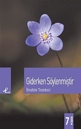 Giderken Söylenmiştir kitap kapağı