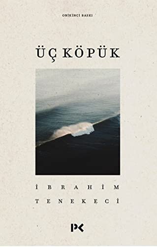 Üç Köpük kitap kapağı