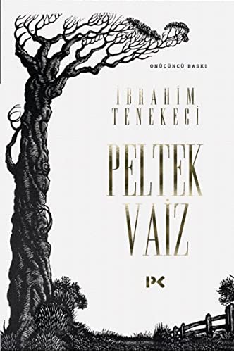 Peltek Vaiz kitap kapağı