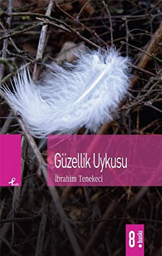 Güzellik Uykusu kitap kapağı