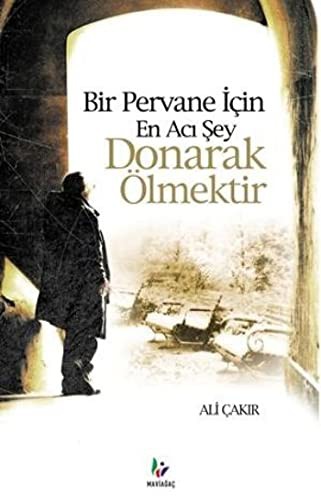 Bir Pervane İçin En Acı Şey Donarak Ölmektir kitap kapağı