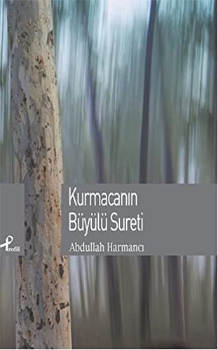 Kurmacanın Büyülü Sureti kitap kapağı