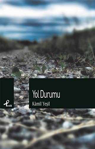 Yol Durumu kitap kapağı