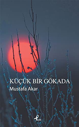 Küçük Bir Gökada kitap kapağı