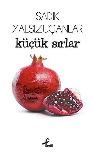 Küçük Sırlar kitap kapağı