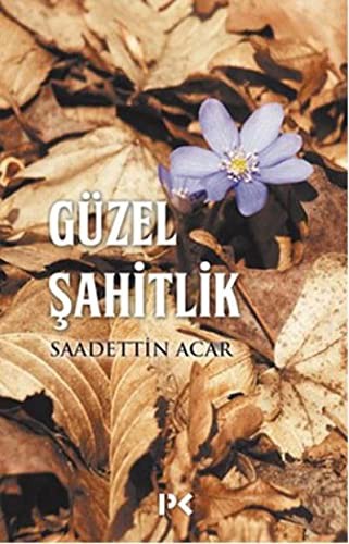 Güzel Şahitlik kitap kapağı