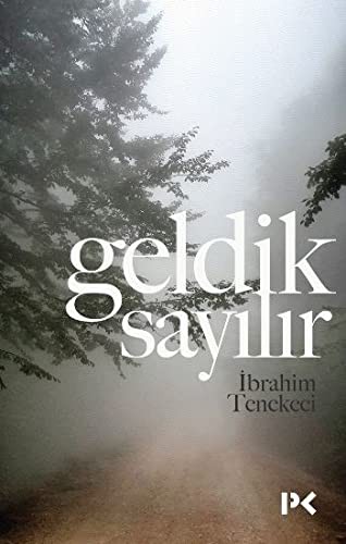 Geldik Sayılır kitap kapağı