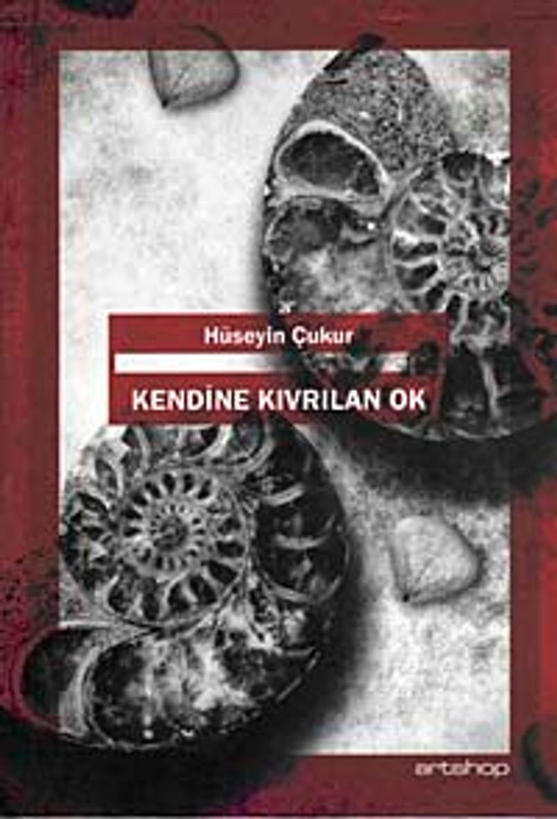 Kendine Kıvrılan Ok kitap kapağı