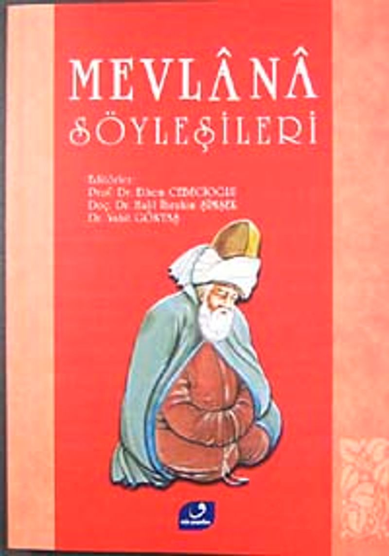 Mevlana Söyleşileri kitap kapağı