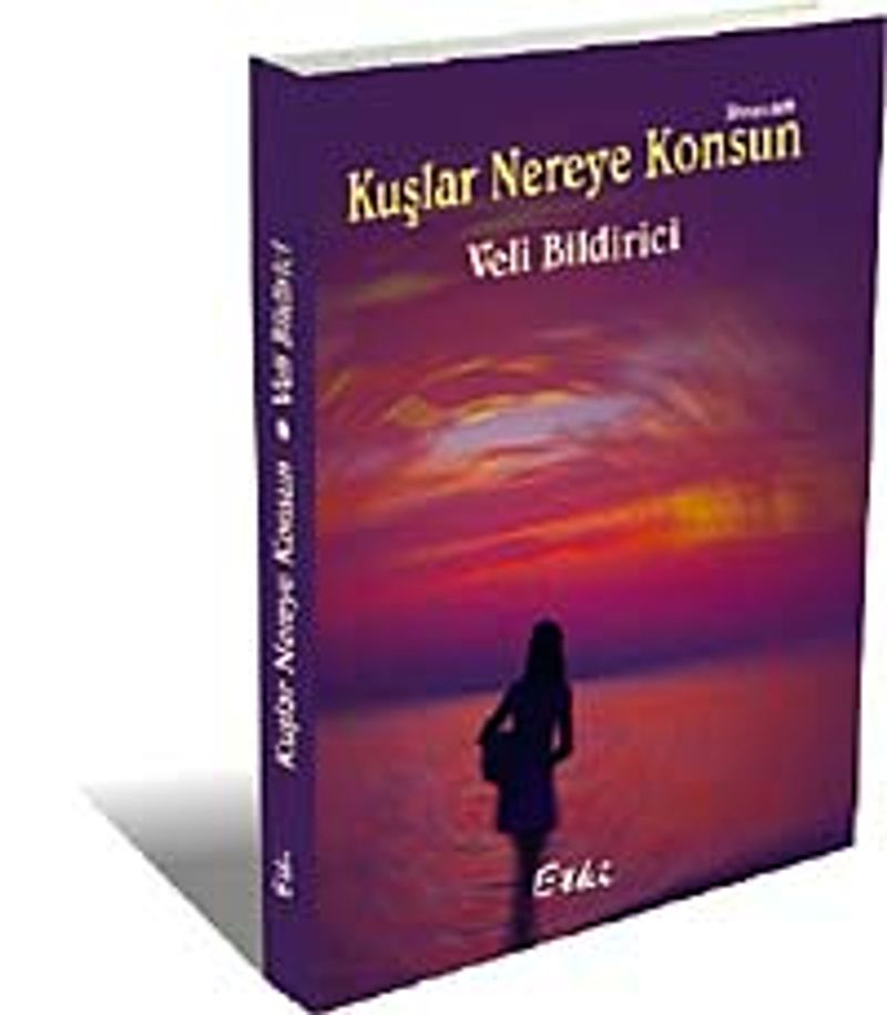 Kuşlar Nereye Konsun kitap kapağı