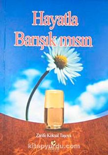 Hayatla Barışık mısın kitap kapağı