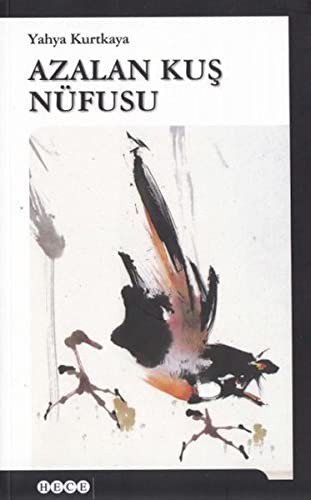 Azalan Kuş Nüfusu kitap kapağı