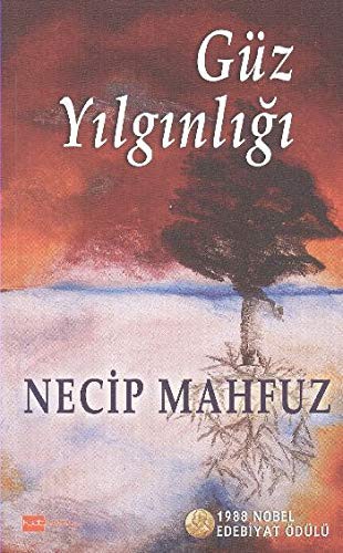 Güz Yılgınlığı kitap kapağı