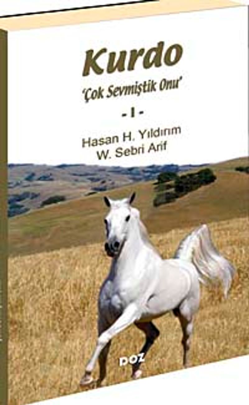 Kurdo-1 kitap kapağı