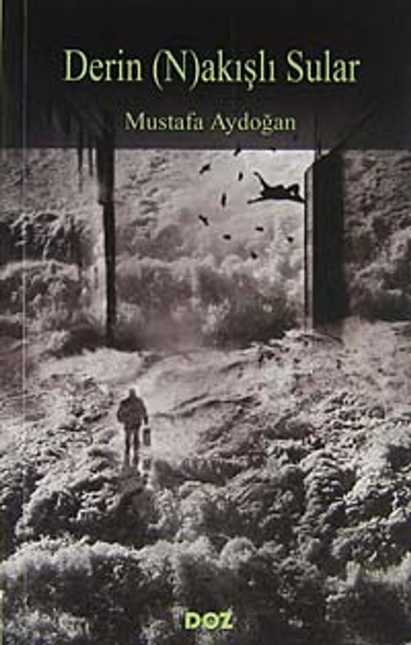 Derin (N)akışlı Sular kitap kapağı