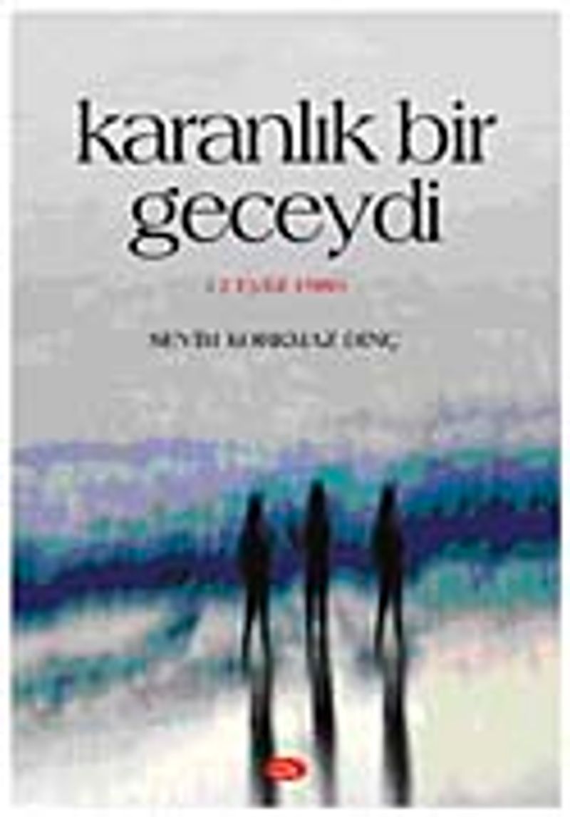 Karanlık Bir Geceydi kitap kapağı