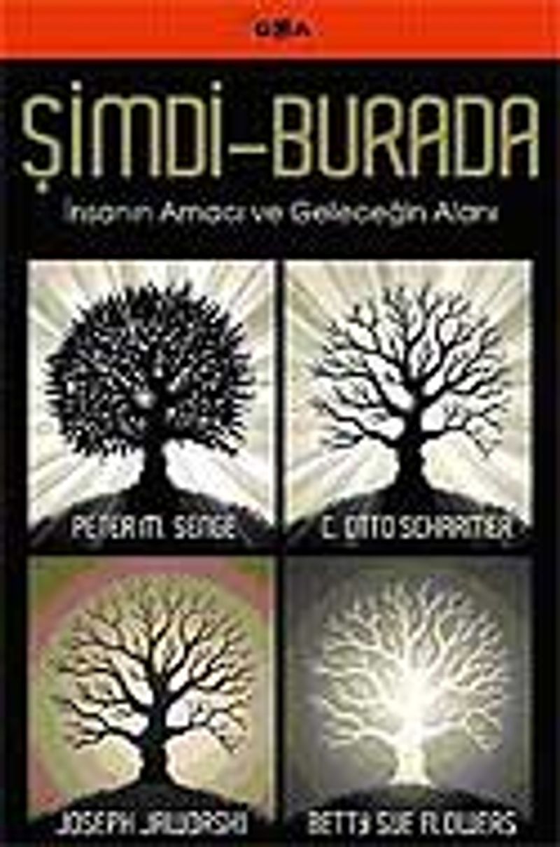 Şimdi-Burada / İnsanın Amacı ve Geleceğin Alanı kitap kapağı