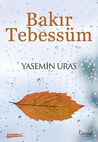 Bakır Tebessüm kitap kapağı