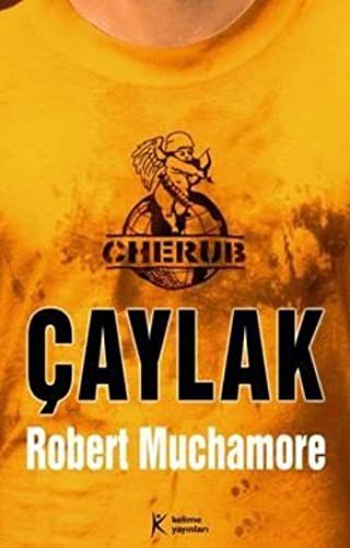 Çaylak-Cherub kitap kapağı