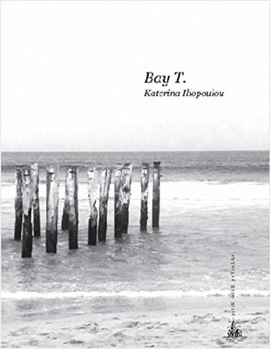 Bay T. kitap kapağı