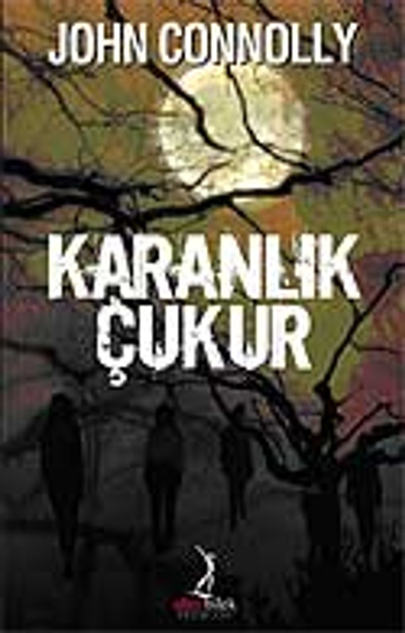 Karanlık Çukur kitap kapağı