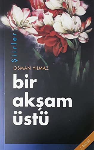 Bir Akşam Üstü kitap kapağı