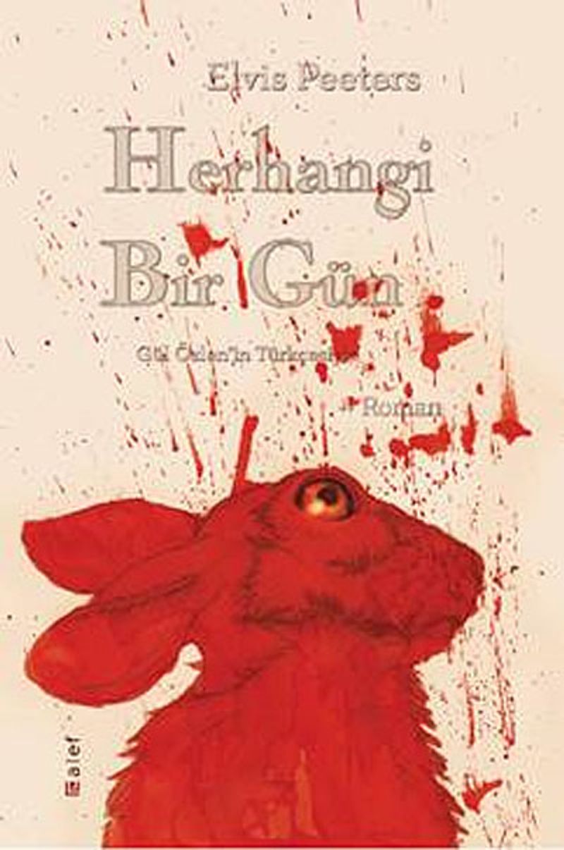Herhangi Bir Gün kitap kapağı