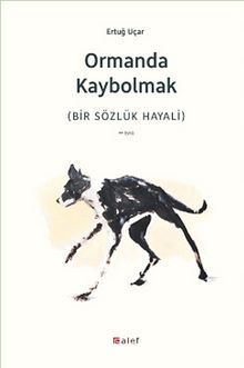 Ormanda Kaybolmak (Bir Sözlük Hayali) kitap kapağı