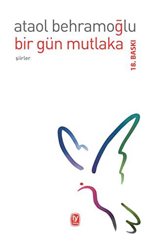 Bir Gün Mutlaka kitap kapağı