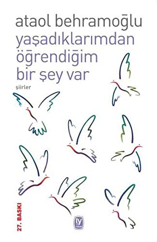 Yaşadıklarımdan Öğrendiğim Bir Şey Var kitap kapağı