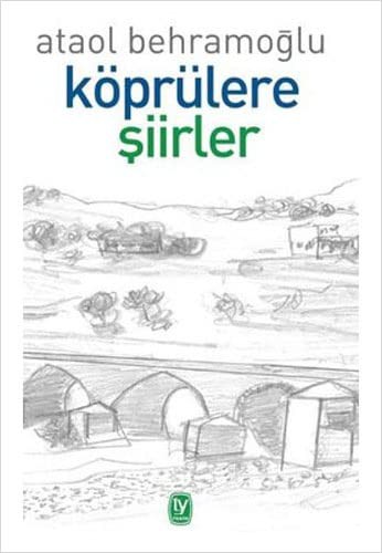 Köprülere Şiirler kitap kapağı