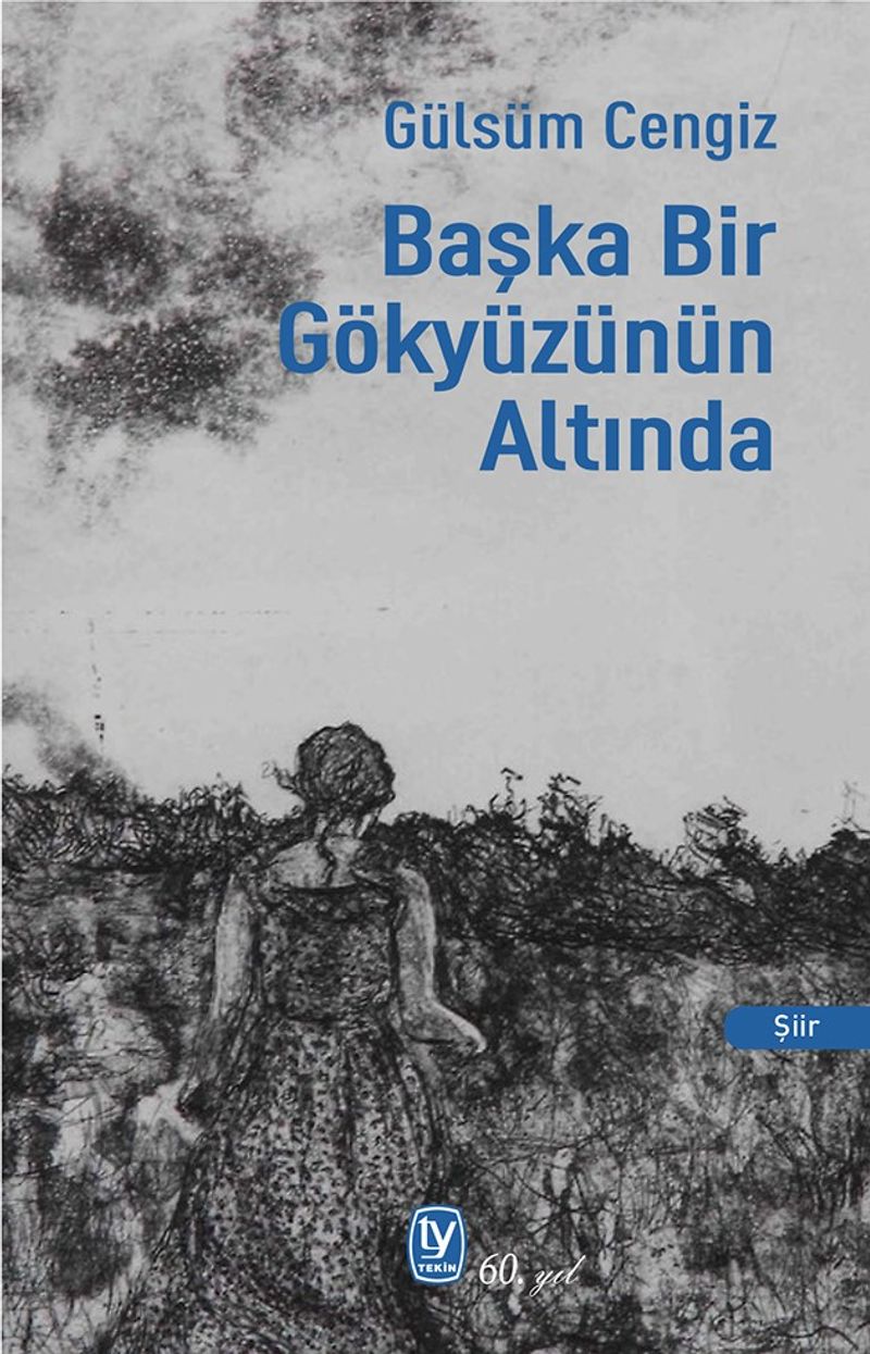 Başka Bir Gökyüzünün Altında kitap kapağı