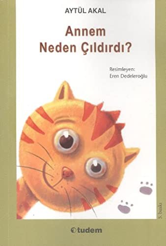 Annem Neden Çıldırdı? kitap kapağı