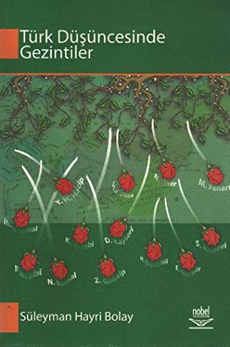 Türk Düşüncesinde Gezintiler kitap kapağı