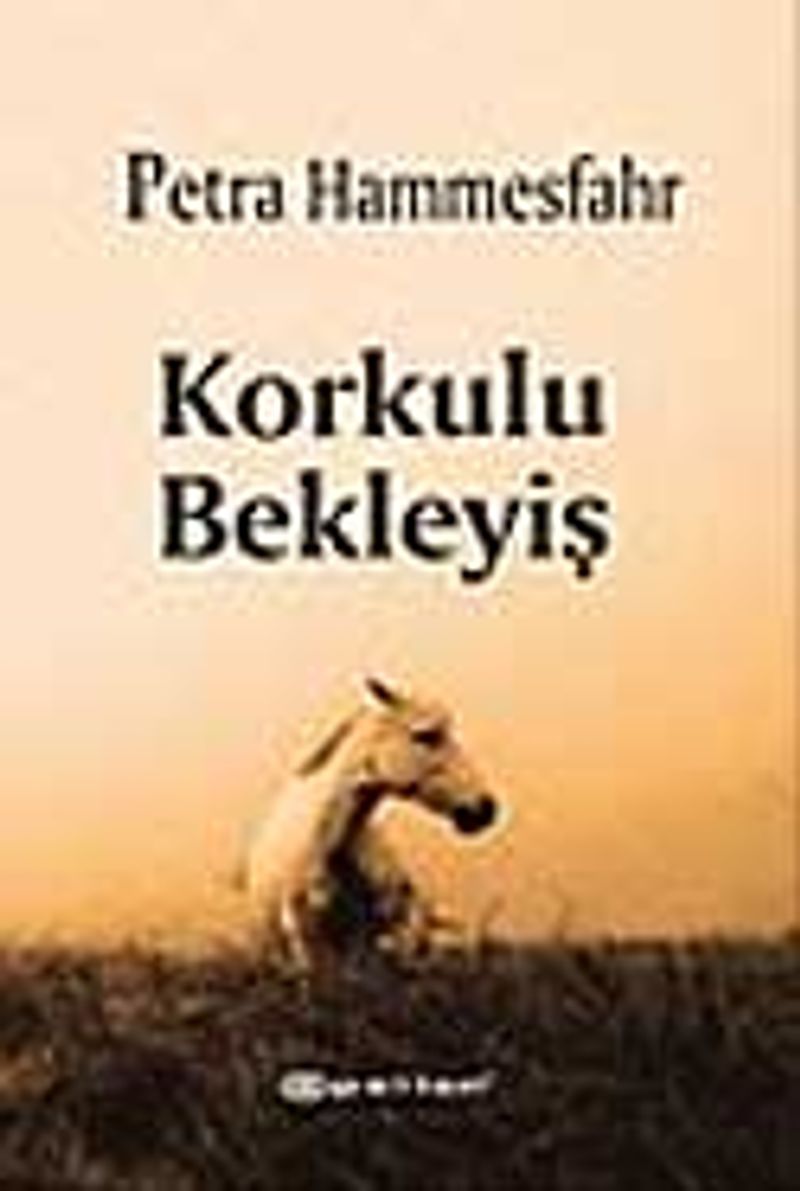 Korkulu Bekleyiş kitap kapağı