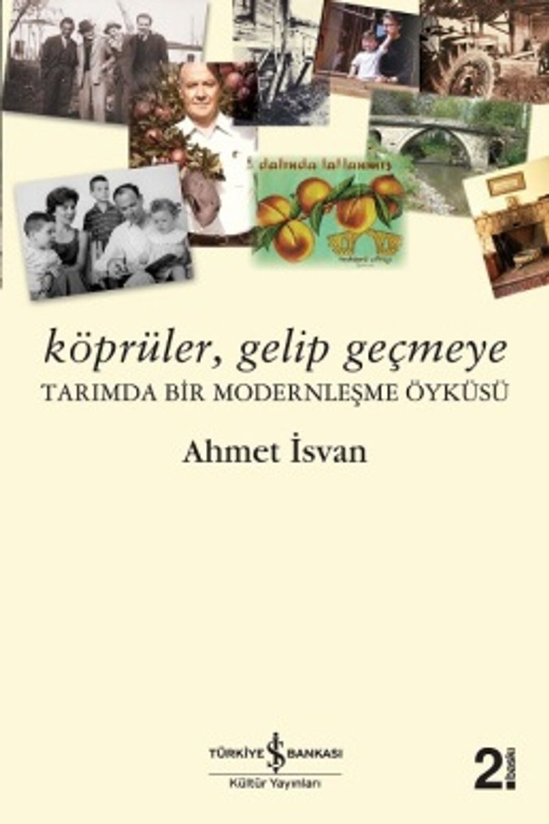 Köprüler Gelip Geçmeye Tarımda Bir Modernleşme Öyküsü kitap kapağı