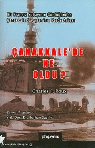 Çanakkale'de Ne Oldu? kitap kapağı