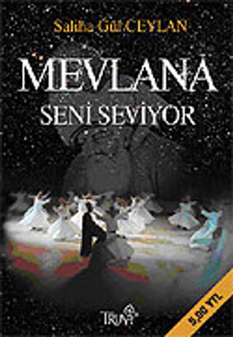 Mevlana Seni Seviyor kitap kapağı