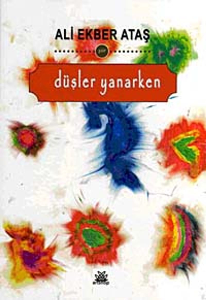 Düşler Yanarken kitap kapağı