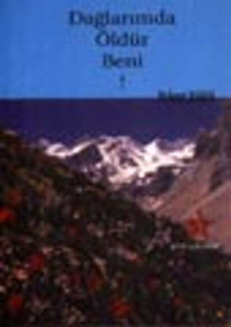 Dağlarımda Öldür Beni! kitap kapağı
