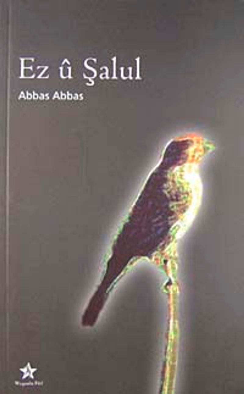 Ez u Şalul kitap kapağı