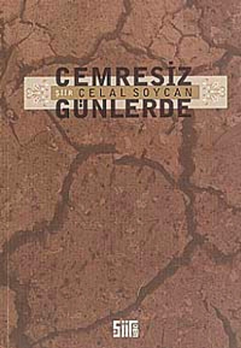 Cemresiz Günlerde kitap kapağı