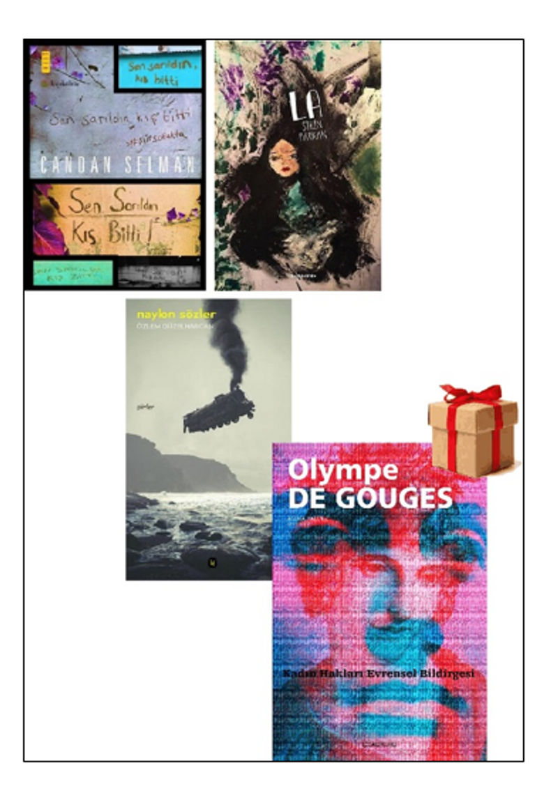 3 Kadın Şair (4 Kitap Takım) (Kadın Hakları Evrensel Bildirgesi Hediye) kitap kapağı