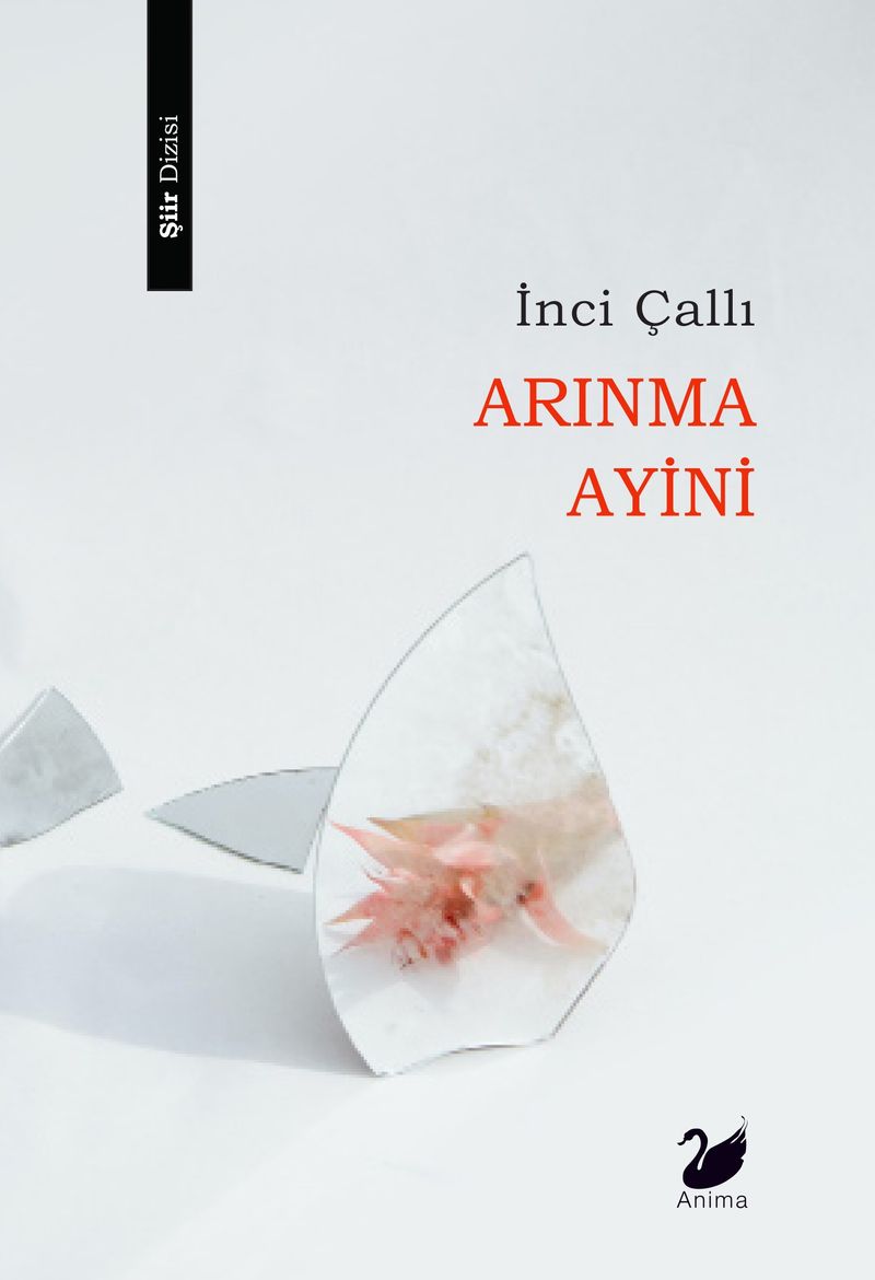 Arınma Ayini kitap kapağı