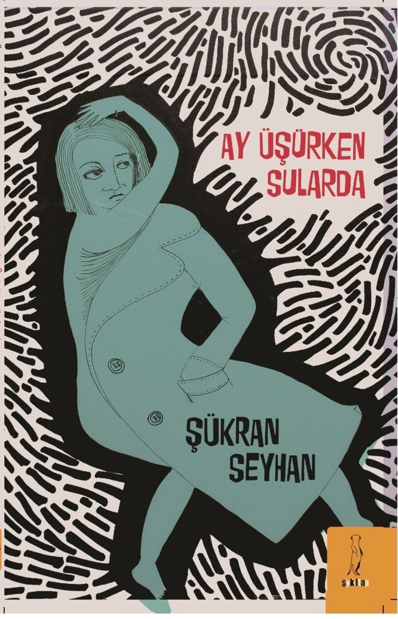 Ay Üşürken Sularda kitap kapağı