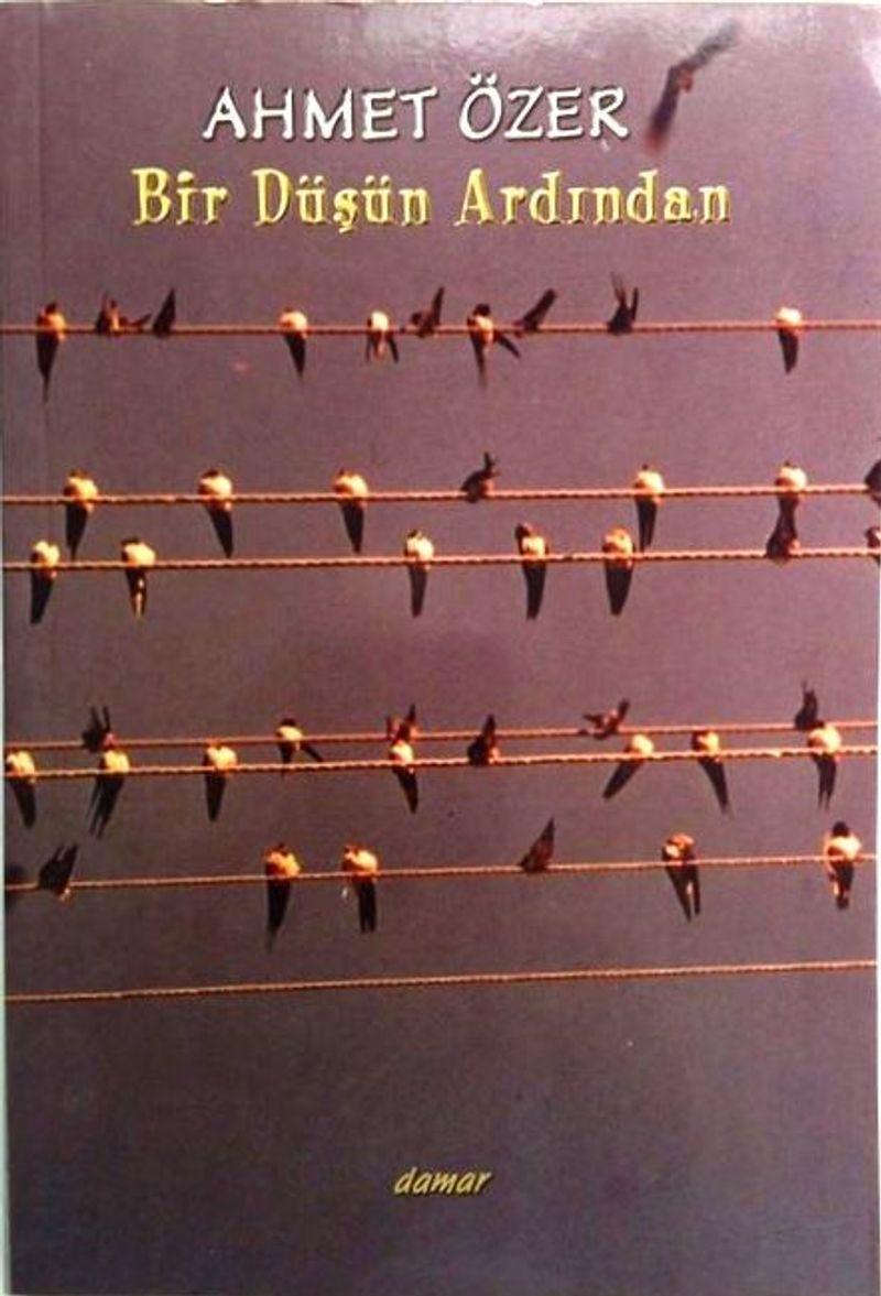 Bir Düşün Ardından kitap kapağı