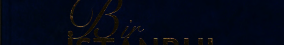 Bir istanbul sevdasi kitap kapağı