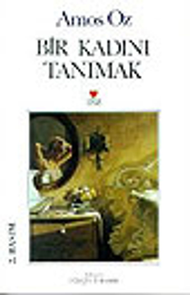 Bir Kadını Tanımak kitap kapağı